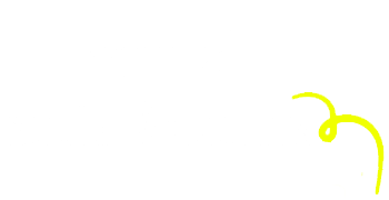Branded Social Accounts